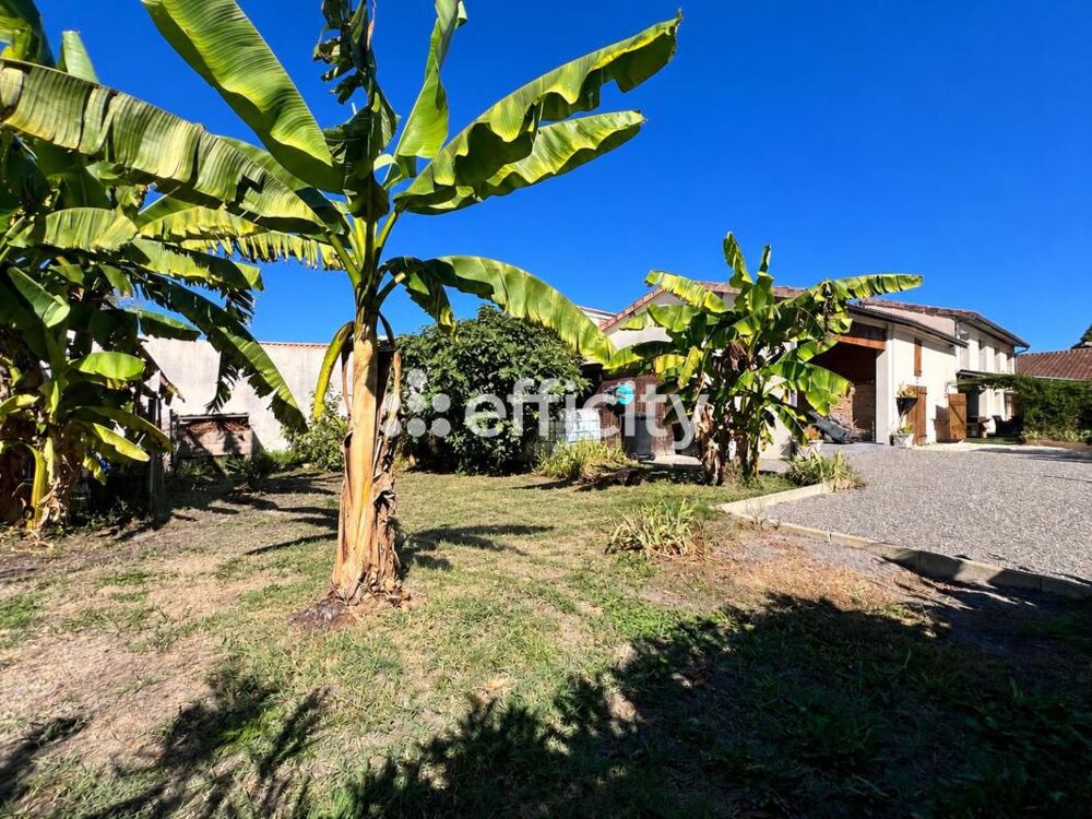 Vente Maison Maison Sainte helene