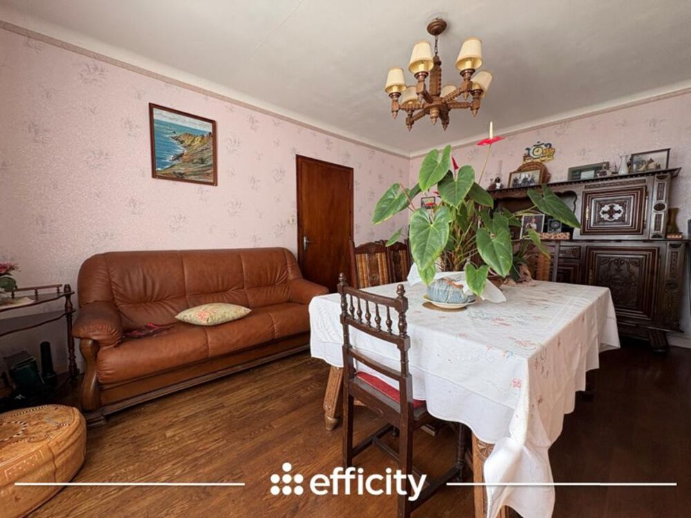 Vente Maison Maison Plouhinec
