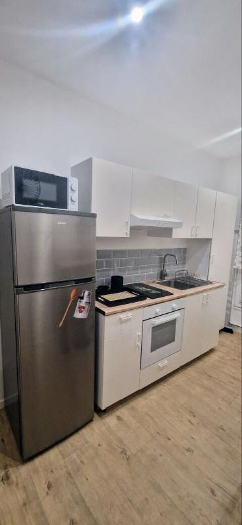   Appartement style loft refait  neuf Loft - 2 pice(s) - 54 m