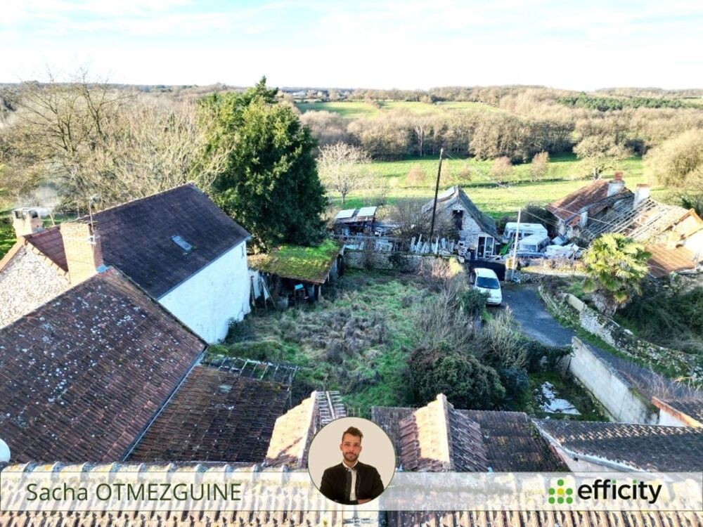 Vente Maison Maison Pleumartin