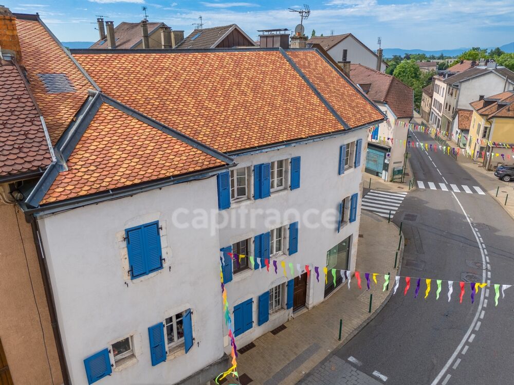 Maison à vendre 10 pièces GEX (01)