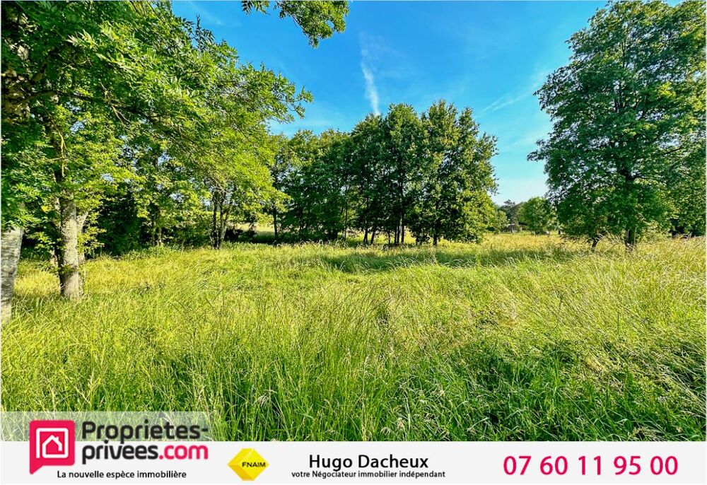Vente Terrain Terrain Brinay 1238 m2 Brinay
