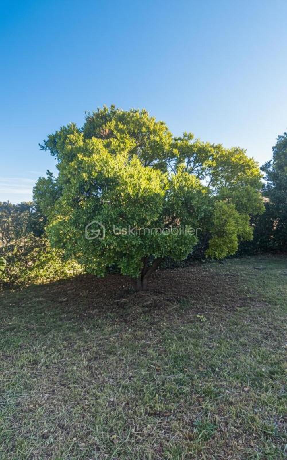 VILLA TRADIONNELLE A VENDRE