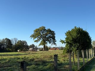  Terrain à vendre 2500 m²
