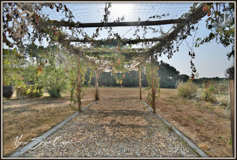 à vendre  Maison Seignosse (40510)