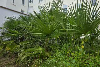  Appartement � vendre 2 pi�ces 46 m�