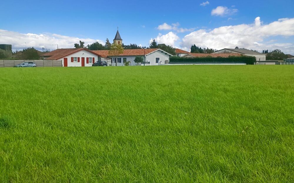 Vente Terrain Terrain constructible 11000 m2 Bidache