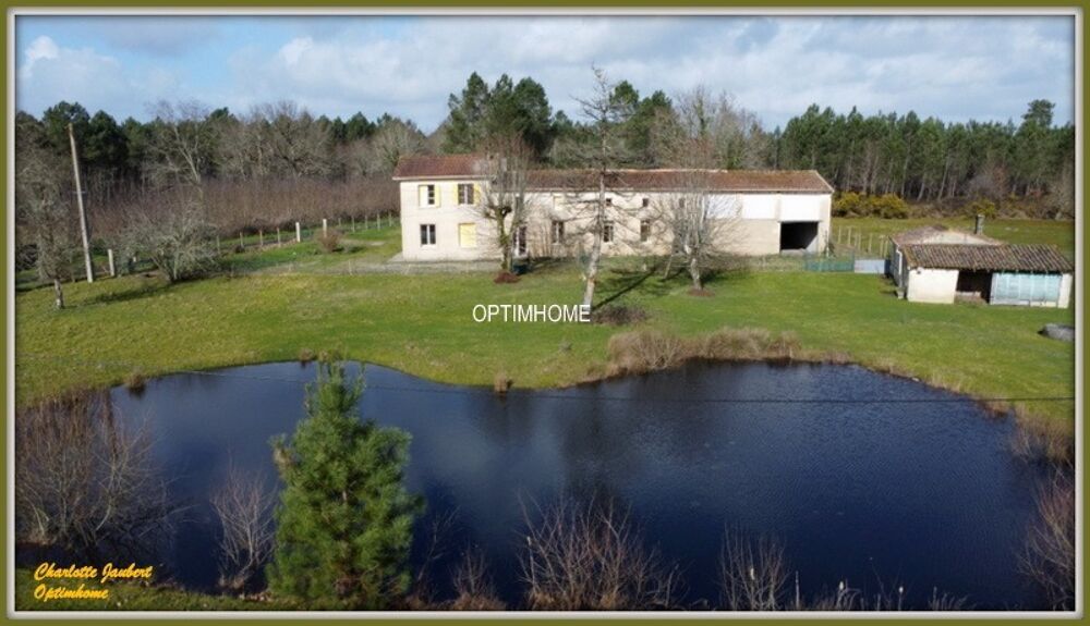 Vente Propriété/Château ensemble de 2 maisons+ dependances + grand terrain + point d'eau Donnezac