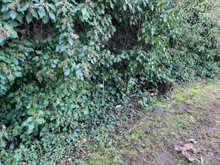  Terrain � vendre 822 m�