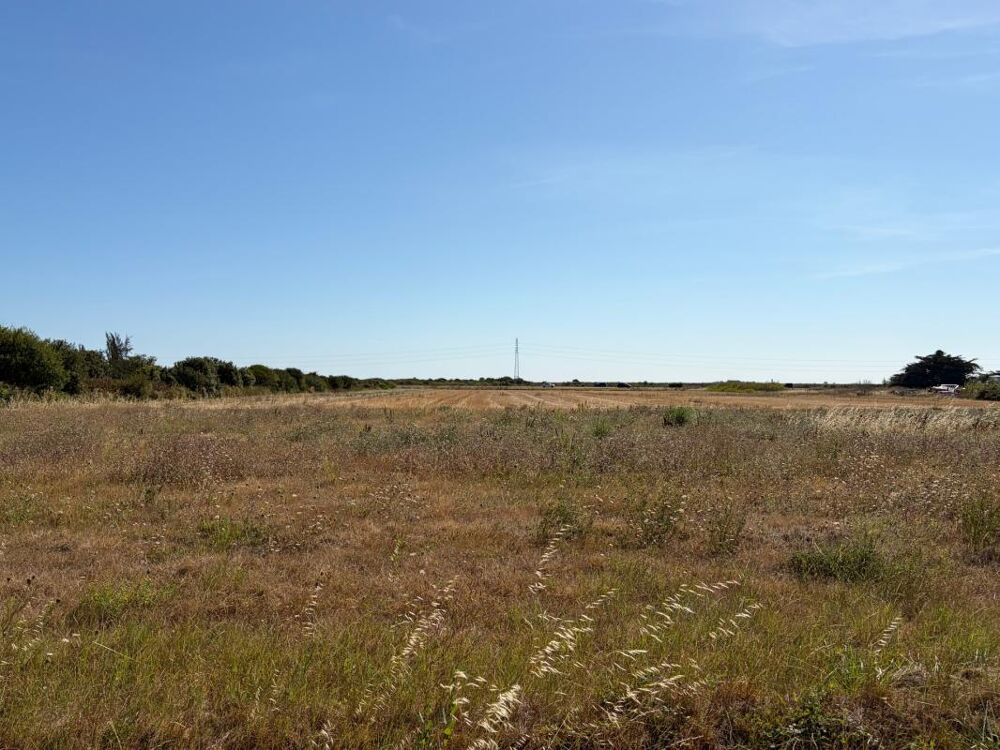 Vente Terrain BARBATRE (85) - ILE DE NOIRMOUTIER - RARISSIME TERRAIN A BATIR 637 M² AVEC PERMIS DE CONSTRUIRE ACCORDE Barbatre