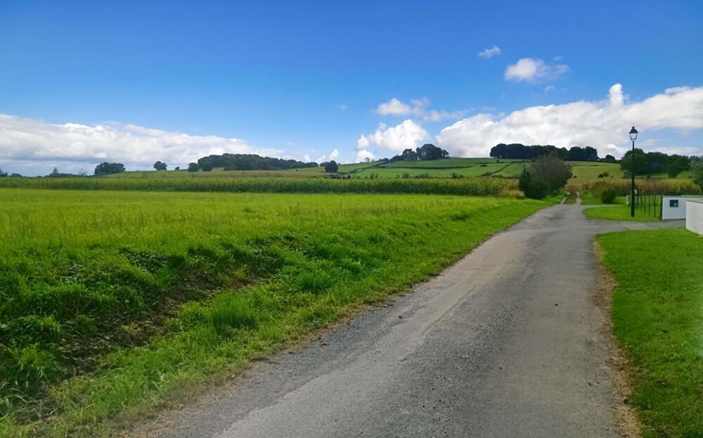 Vente Terrain Terrain constructible 11000 m2 Bidache