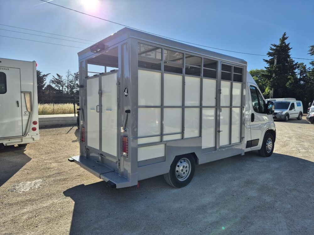 Movano B&eacute;taill&egrave;re 2.2 140 cv 2022 occasion 84300 Cavaillon
