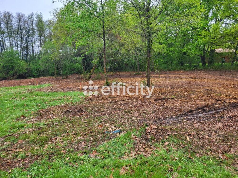 Vente Terrain Terrain Martillac