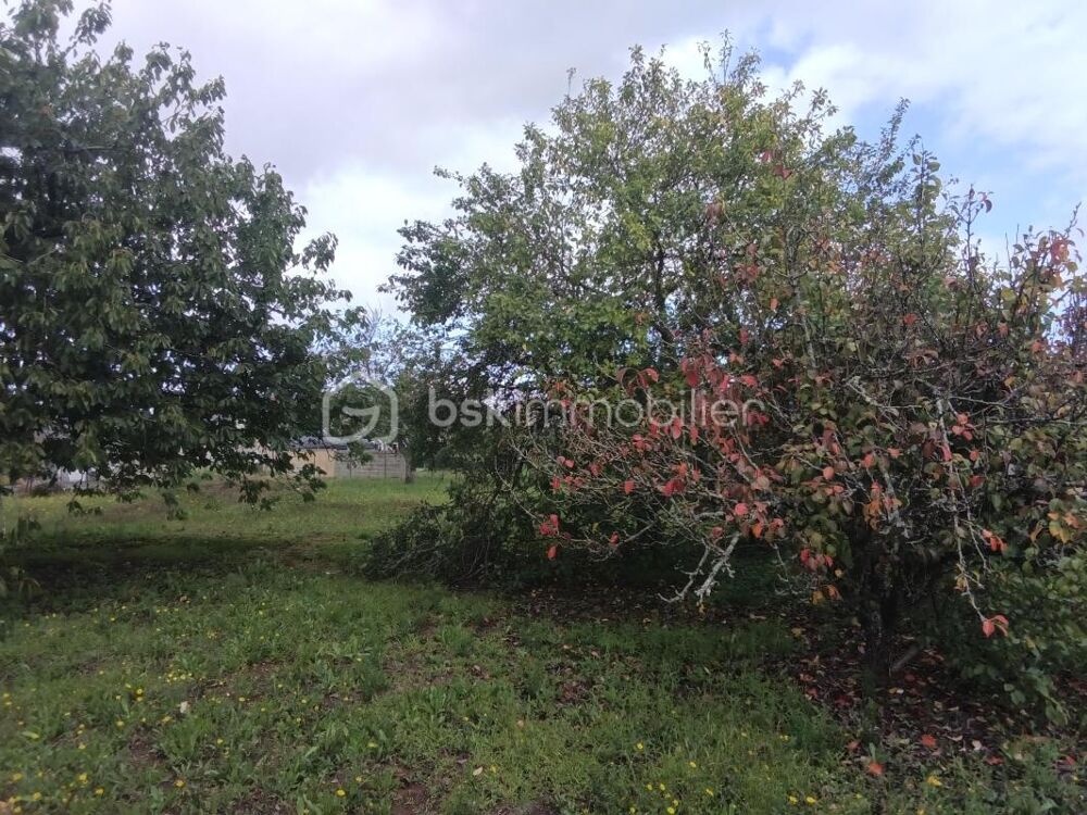 Vente Terrain Terrain � b�tir � Mansign� (72510) Mansigne