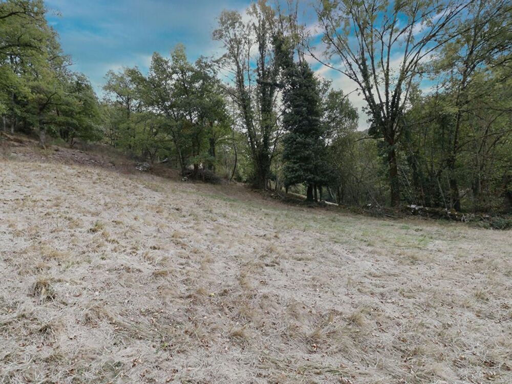 Vente Terrain LACAZE - TERRAIN AGRICOLE AVEC GRANGE EN PIERRE Lacaze