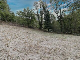  Terrain à vendre 10564 m²