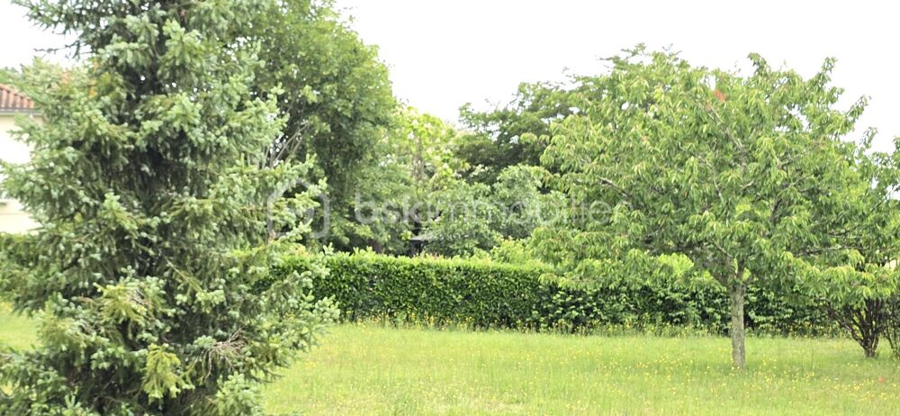 Maison 3 chambres avec jardin de 700m2