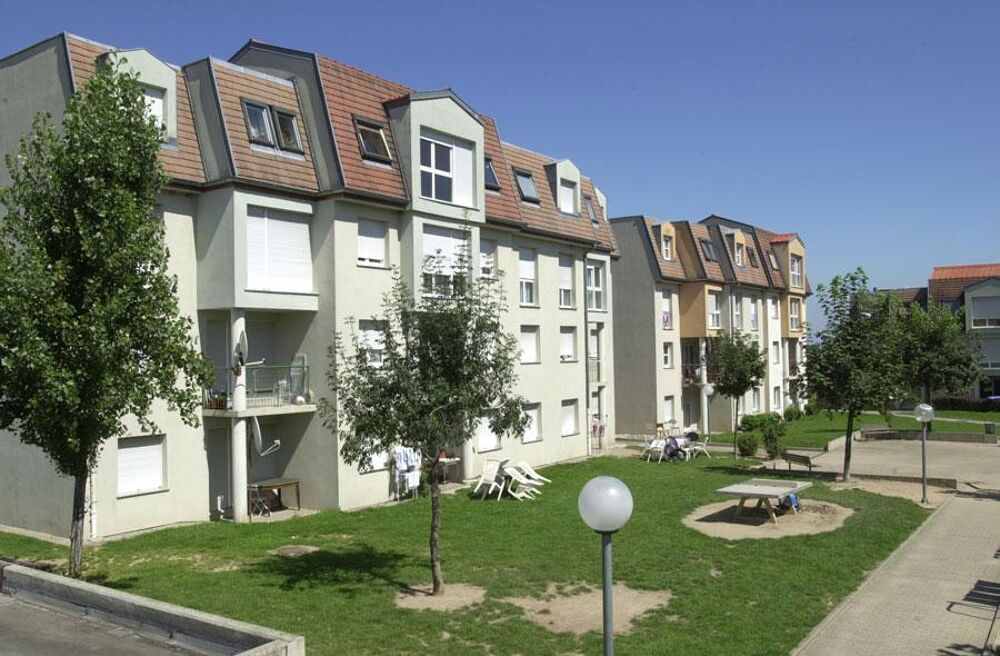 Location Appartement 54200243 - Appartement - F3 - Ribeauvillé (68150) Ribeauville