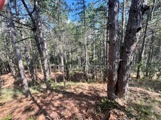  Terrain à vendre 3577 m²