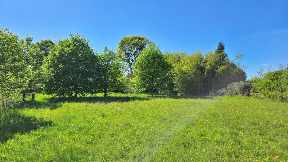 Vente Terrain Terrain 2 150,00 m² ORADOUR SUR GLANE - Calme et Campagne Oradour sur glane