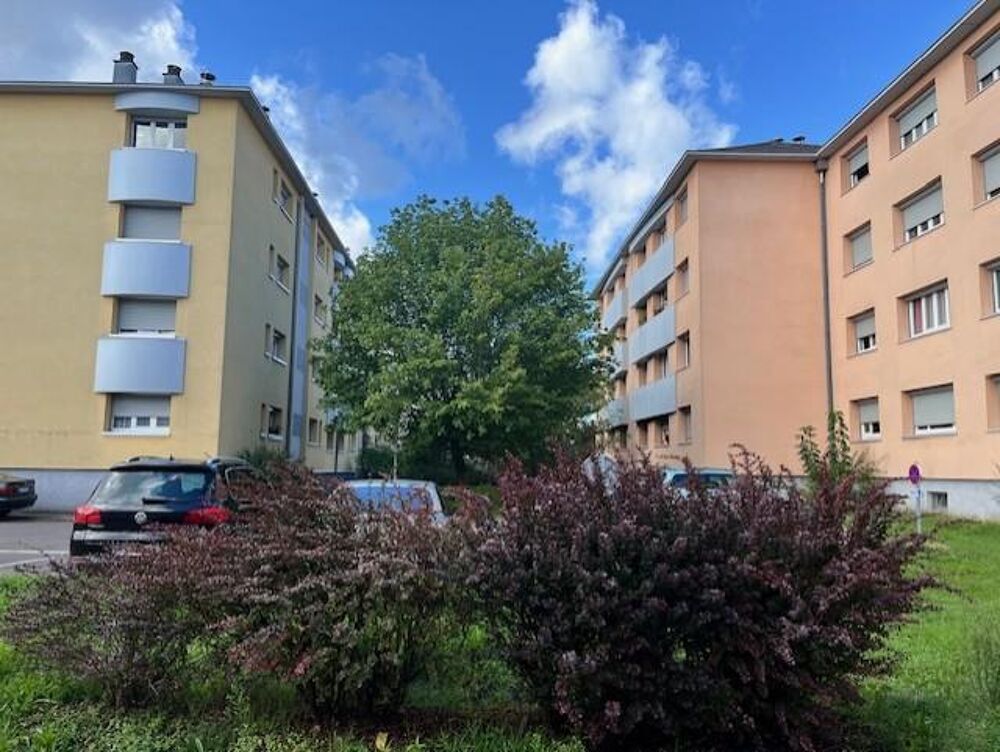 Location Appartement 45000013 - Appartement - F3 - Pfastatt (68120) Pfastatt