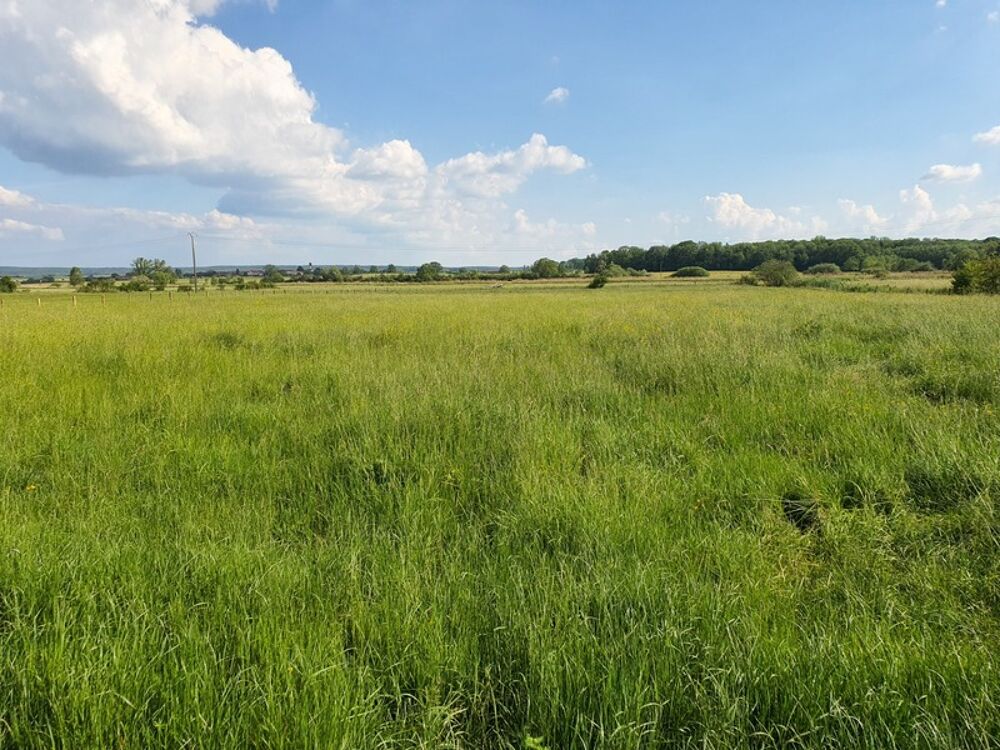 Dpt Vosges (88), à vendre proche CONTREXEVILLE - FERME LORRAINE à réhabiliter / Terrain env 4000 m2