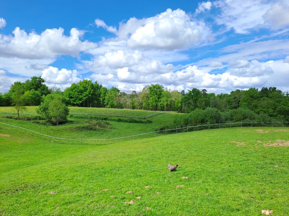 Vente Propriété/Château Propriete à vendre 12 pièces proche de SAINT ANDRE DE CUBZAC (33) Saint andre de cubzac