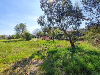  Terrain � vendre 501 m�