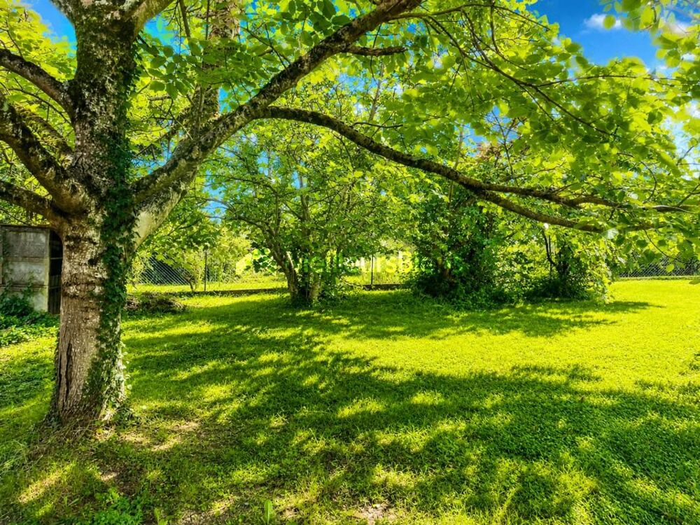 Vente Maison MONTRABÉ - MAISON T5 - 94m2 - TERRAIN 1322 - GARAGE + SOUS SOL 74m2 - Montrabe