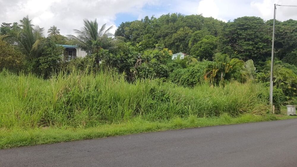 Vente Terrain Terrain à vendre de 669 m² SAINTE ANNE (971) Sainte anne