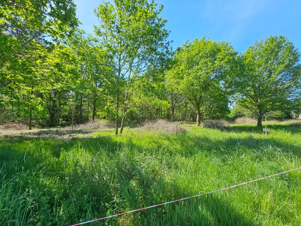Vente Terrain Terrain 3818 m² Limeyrat