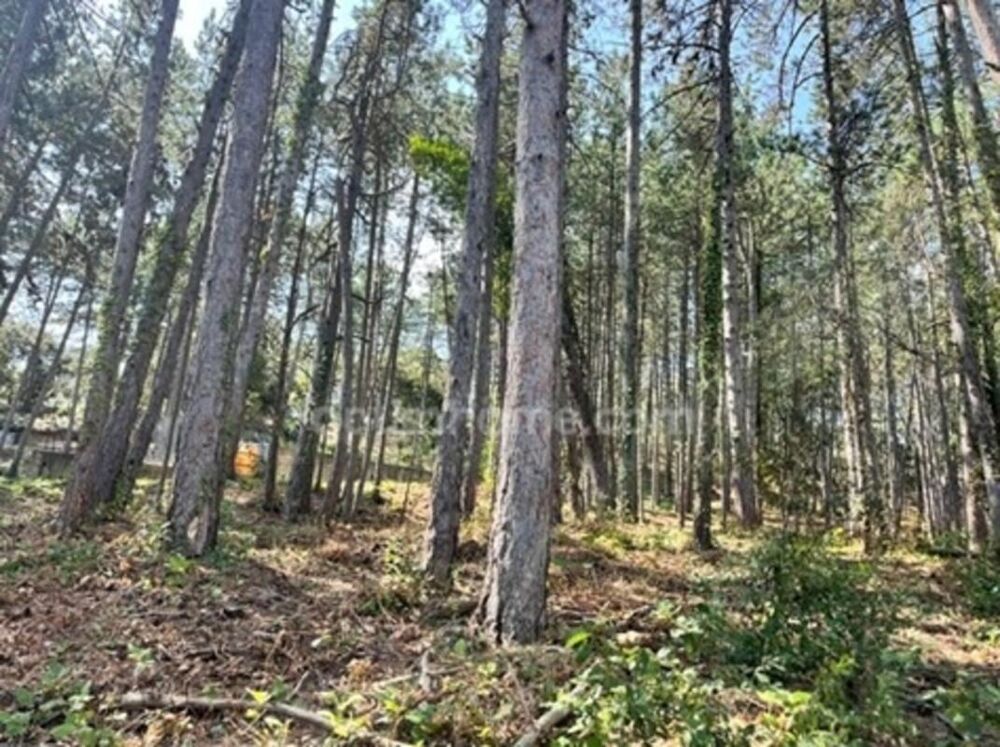 Vente Terrain Terrain à vendre de 3 577,00 m² BOURG SAINT ANDEOL (07) Bourg saint andeol