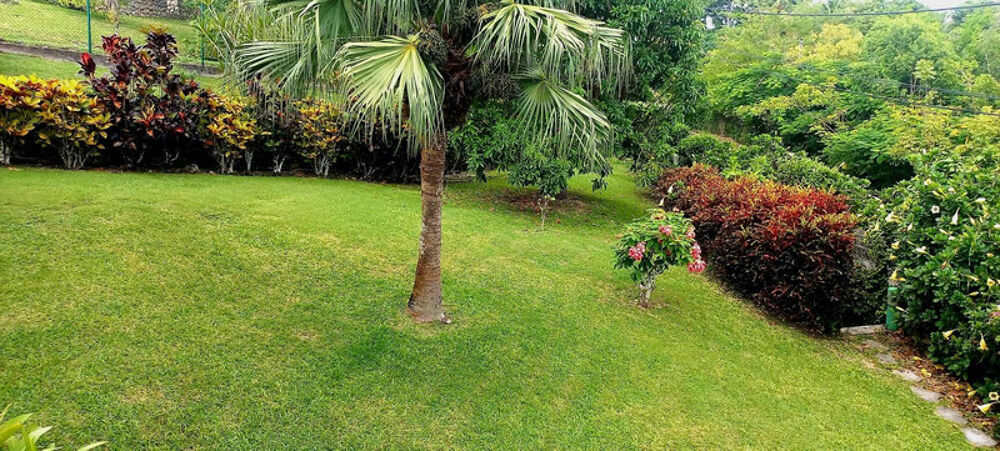 � vendre  Maison Les Abymes (97142)