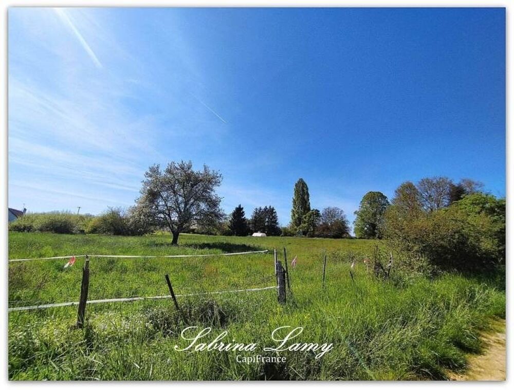 Vente Terrain Dpt Marne (51), à vendre proche de ORBAIS L'ABBAYES terrain de 8 107m² soit 1800 m² à aménagée Suizy le franc