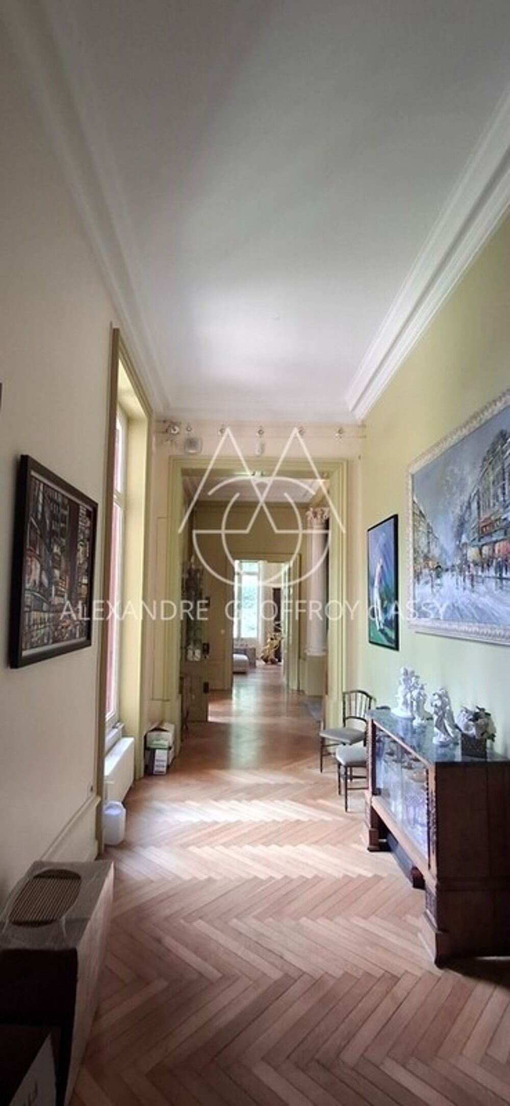  vendre  Proprit/chteau Tours (37000)