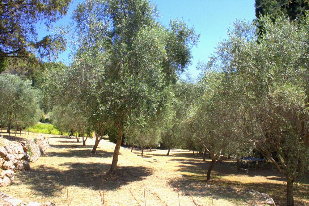 � vendre  Maison Peymeinade (06530)