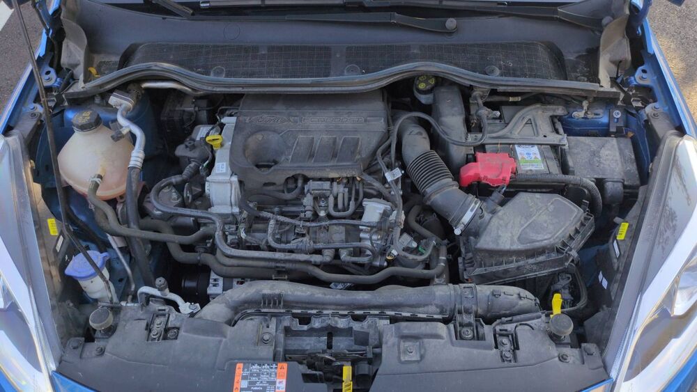 Fiesta 1.0 EcoBoost 95 Titanium 2020 occasion 44650 Corcoue Sur Logne