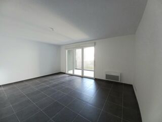  Appartement à louer 3 pièces 65 m²