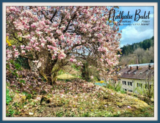  Appartement � vendre 4 pi�ces 98 m�