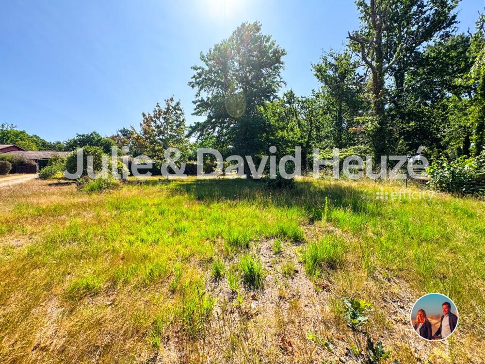 Vente Terrain Terrain Lacanau