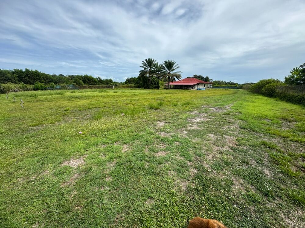 Vente Maison Exceptionnelle Maison a rénover sur une parcelle de 5000 m2 bord de RN1 Macouria Macouria