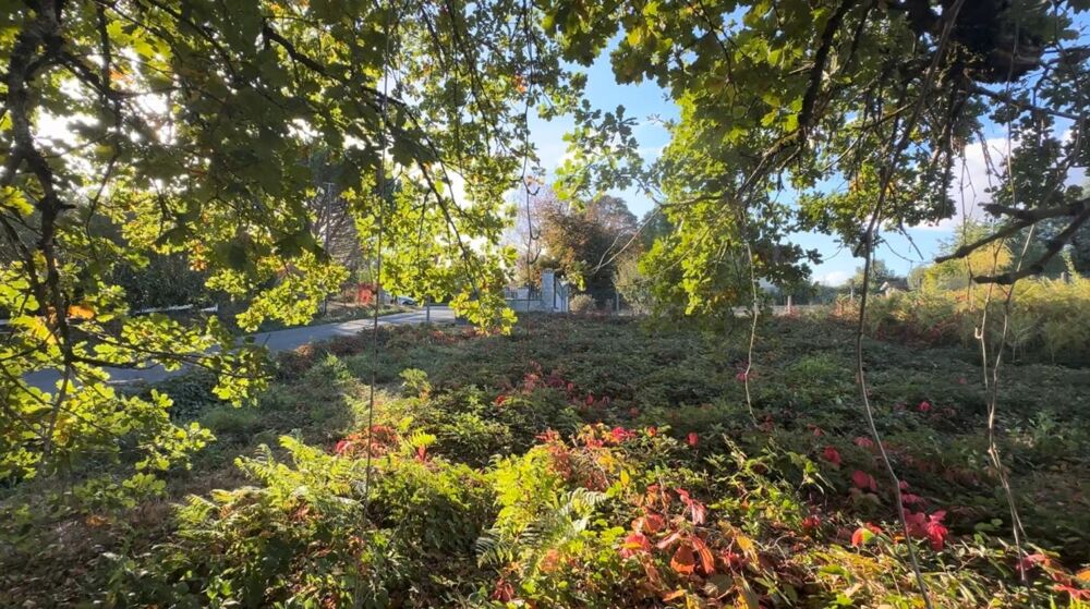 Vente Terrain ? TERRAIN CONSTRUCTIBLE – 1 265 m² – SAINT-PRIEST-TAURION Saint priest taurion