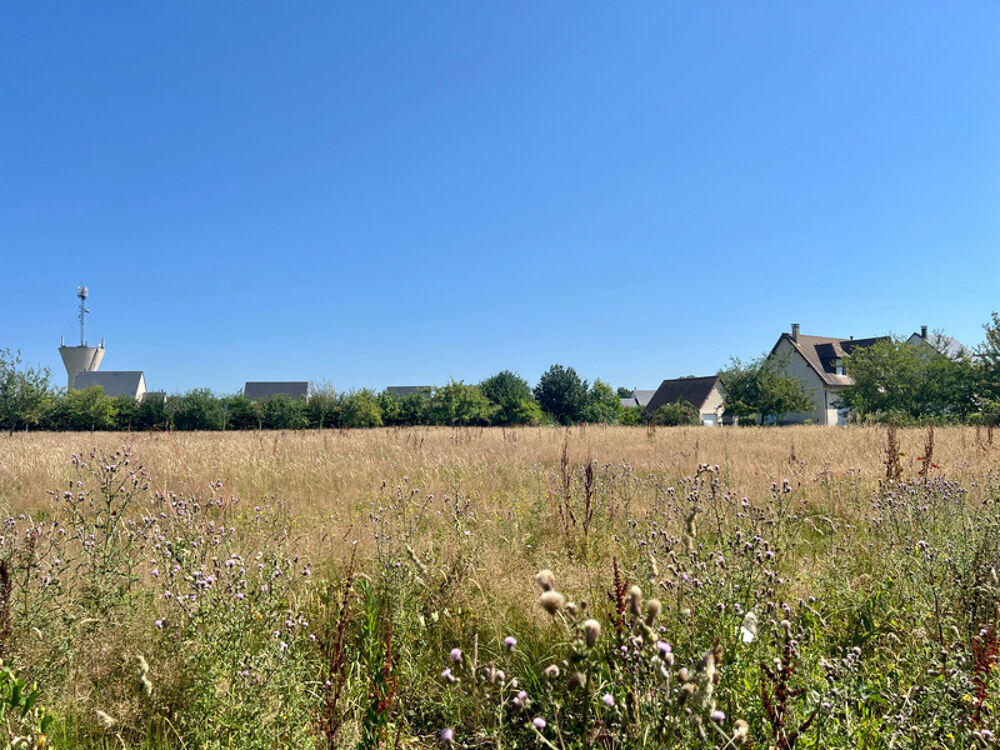 Vente Terrain HEULAND (14) – TERRAIN À BÂTIR DANS UN ÉCRIN DE VERDURE AUX PORTES DE LA CÔTE FLEURIE Heuland