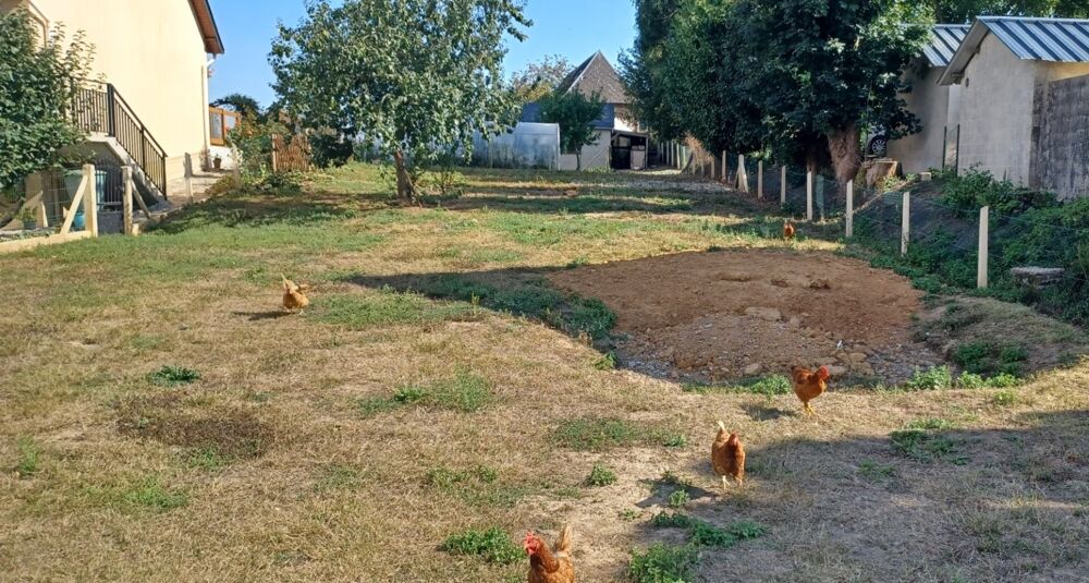 Vente Terrain Terrain constructible à vendre à YEBLERON (76) Yebleron