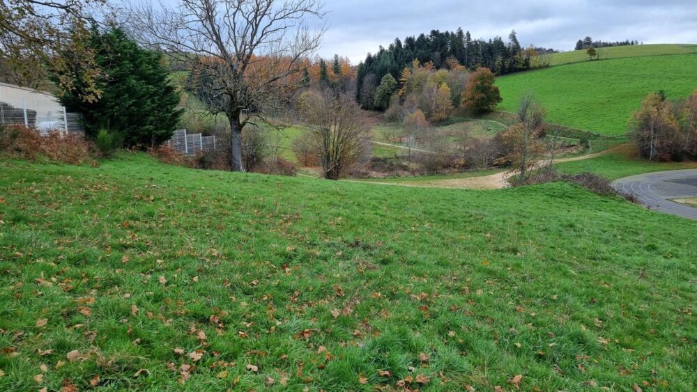 Vente Terrain Saint Didier en Velay 43140 parcelle de terrain 2800m² constructible et 4500m² non constructible Saint didier en velay