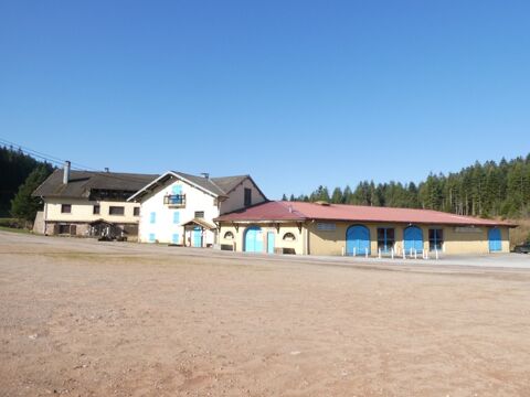   GIRMONT VAL D'AJOL (88) �tablissement � vendre de 3000m� au sol , m�lant dance et restauration.Terrain 25000m� Propri�t�/ch�teau - 15 + pi�ce(s) - 3000 m�