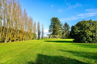  Propriété/château à vendre 10 pièces 366 m²