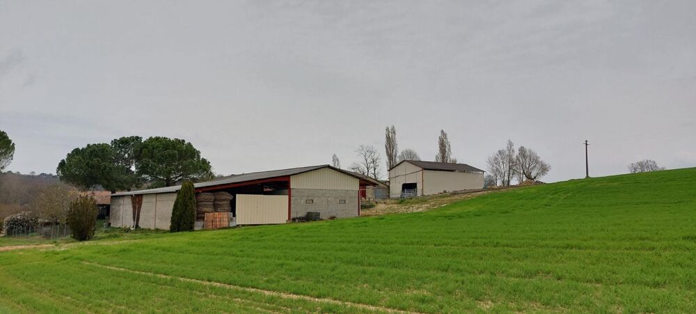 Corps de ferme en pierre 300m² à réhabiliter + hangars sur terrain de 6500 m²