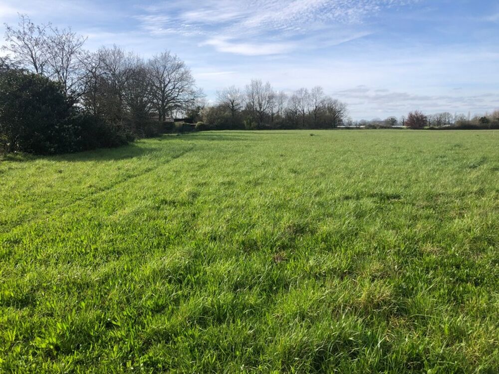 Vente Terrain Terrain 10 045,00 m², dont 2564 m² constructibles sur  SAINT PHILBERT DE GRAND LIEU (44) Saint philbert de grand lieu