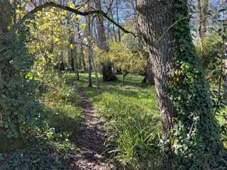  Terrain  vendre 3613 m